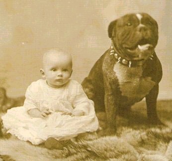 Pit Bull with baby 1892