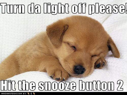 cute-puppy-pictures-turn-da-light-off-pl