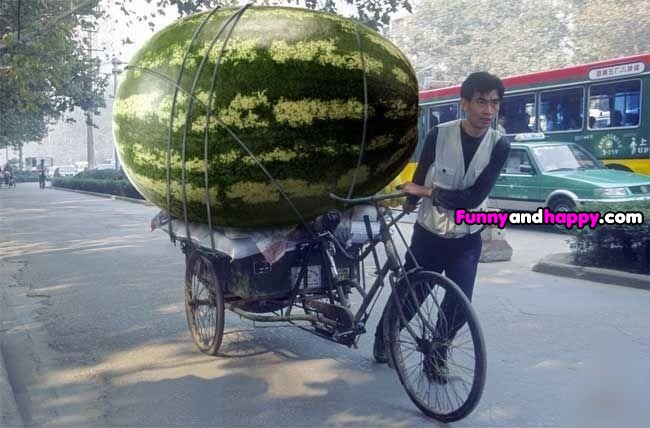 The-biggest-watermelon-world