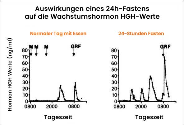 grafik 2 Auswirkungen Fastens Wachstumsh