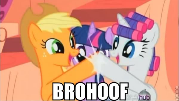 mlp brohoof-1