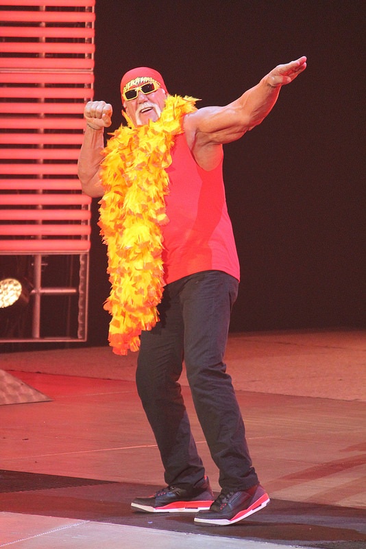 Hulk hogan 2014