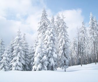 landscapes winter snow earth landscape b