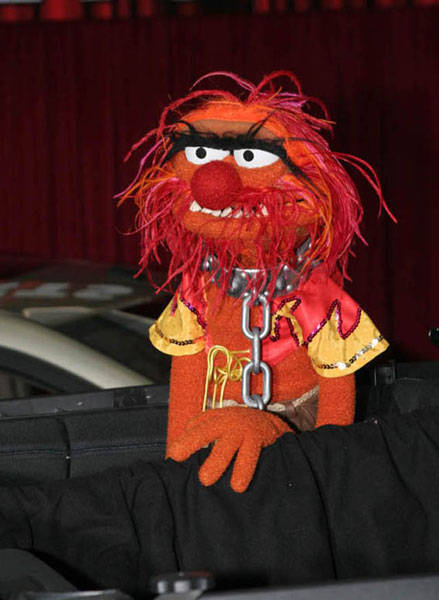 Bilder-Thread Animal-the-muppets-premiere2