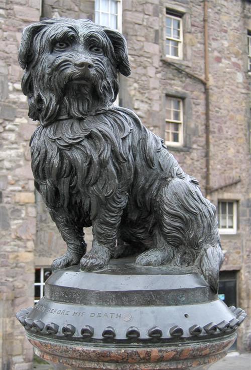 Bilder-Thread Greyfriars-bobby-edin