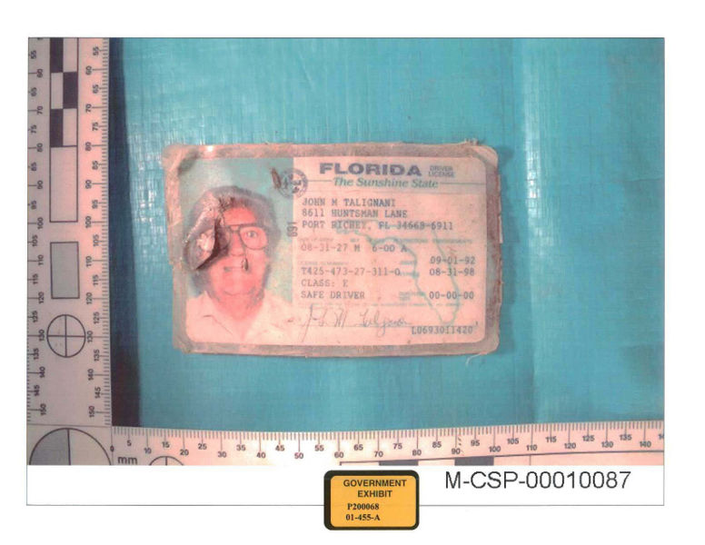 776px-John Talignani Drivers Licence