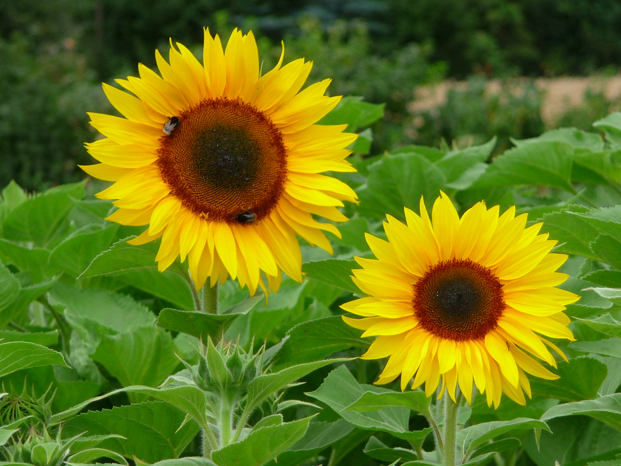 Poste ein Bild, welches zeigt, wie es dir gerade geht (Seite 177