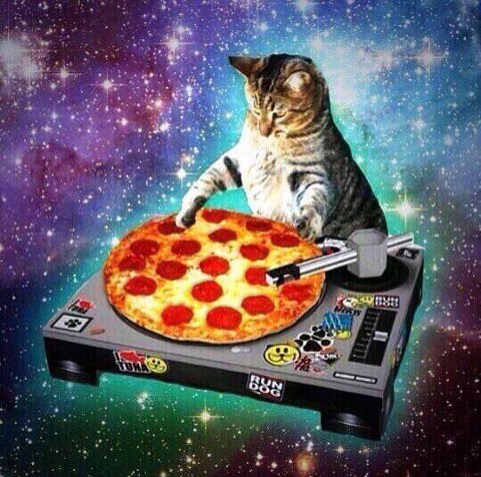 Pizza-space-cat