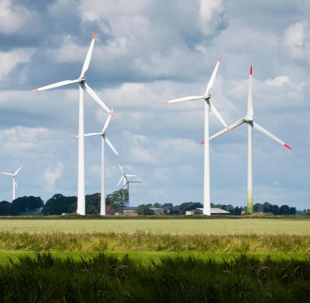 Windfarm-in-field