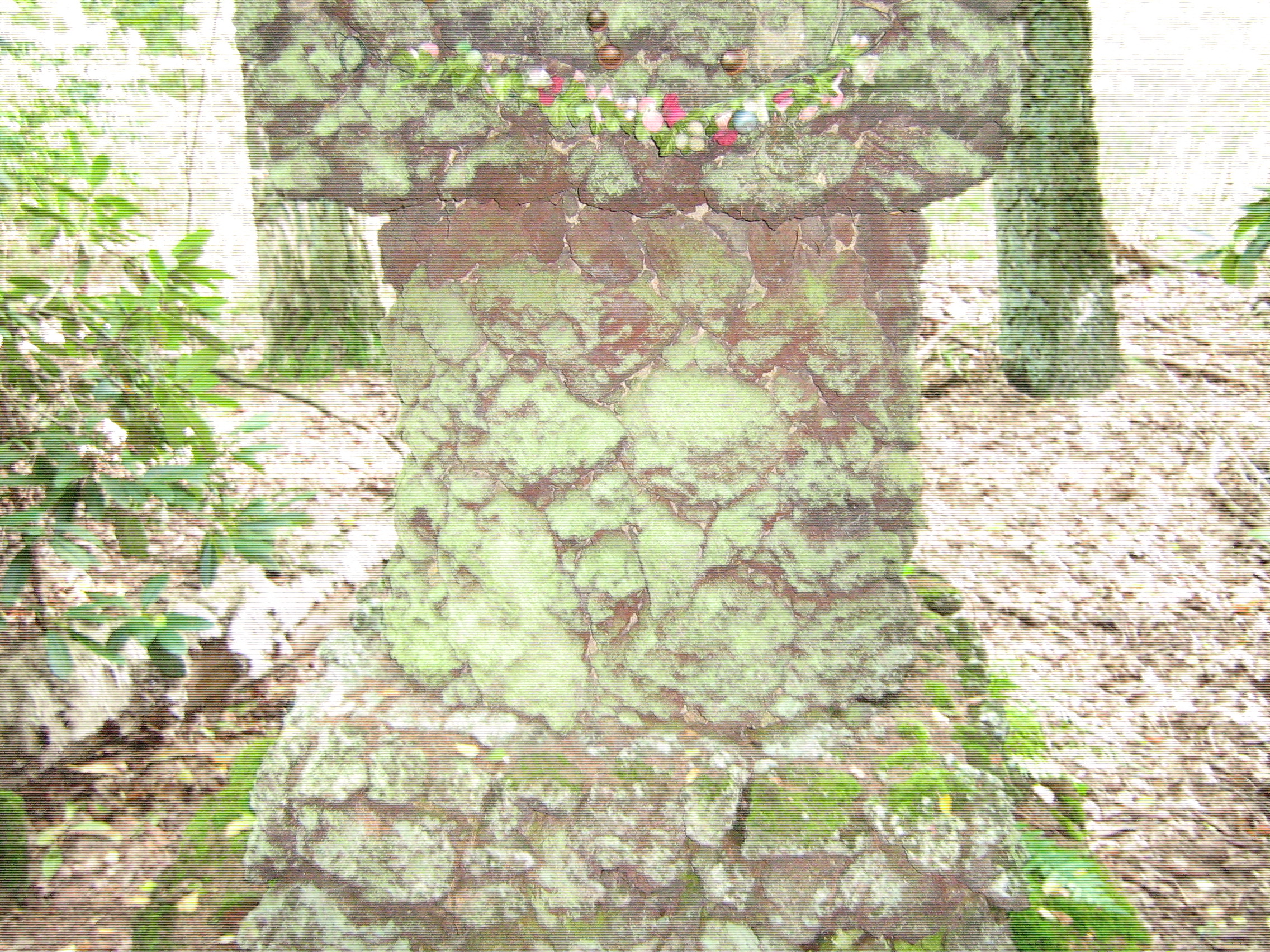 Bilder-Thread Gof9PdnUUx.JPG