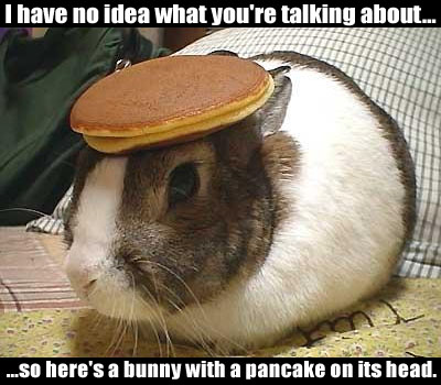 pancake bunny