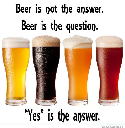 beer-is-not-the-answer-beer-is-the-quest