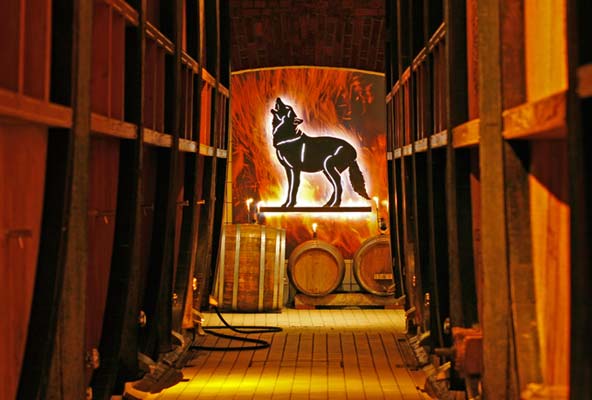 Bilder-Thread WinzergenossenschaftWolfenweiler 131538