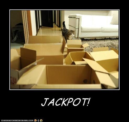 Bilder-Thread te2Rzea funny-pictures-jackpot