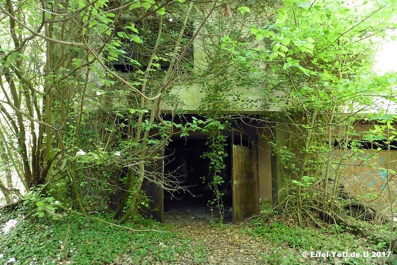 Verlassene Gebäude in Hessen/Rheinland Pfalz lp-w-burg20171yuuwg