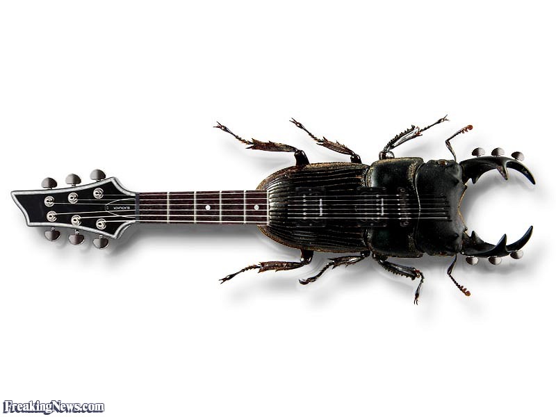Bilder-Thread Beatles-Guitar--60808