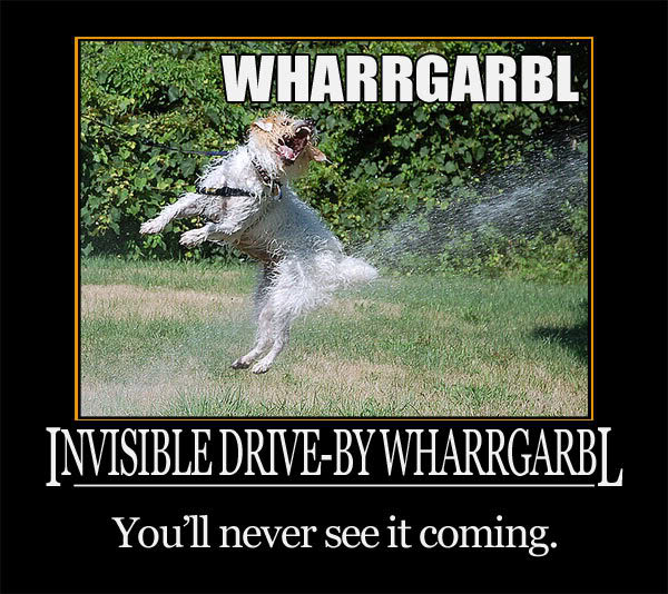 Bilder-Thread drive-by-wharrgarbl