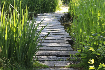 gartenplanung-psychologie