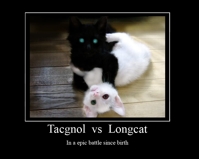 longcat tacgnol