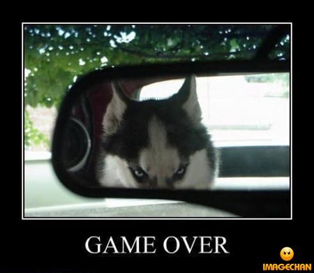Bilder-Thread Game 1265a2 767613