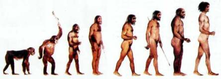 evolution