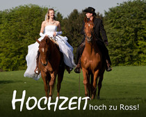 Bilder-Thread image