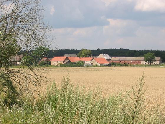 Nettgendorf