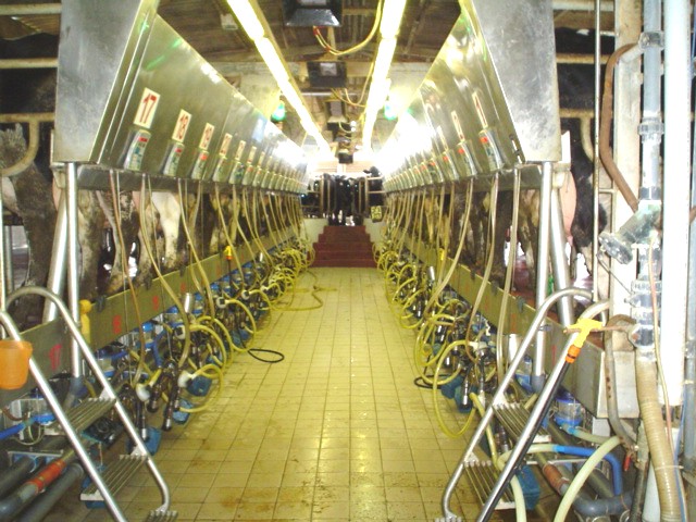 MilkingParlour