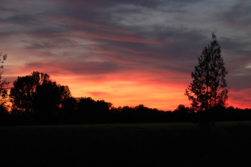 1100f4 sonnenuntergang