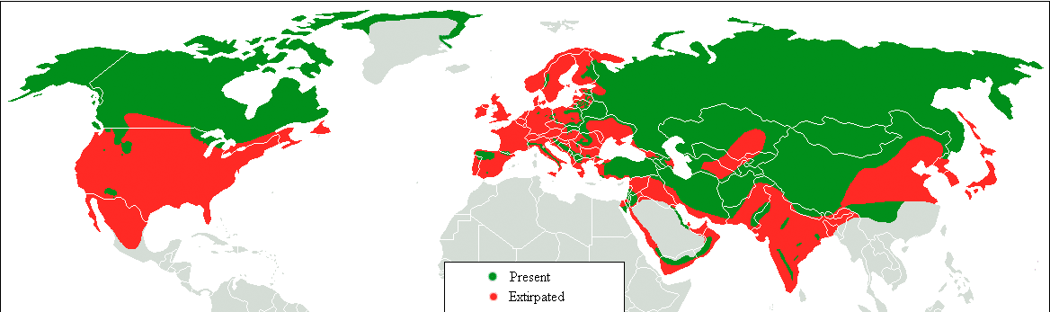 Grey wolf distribution with subdivisions