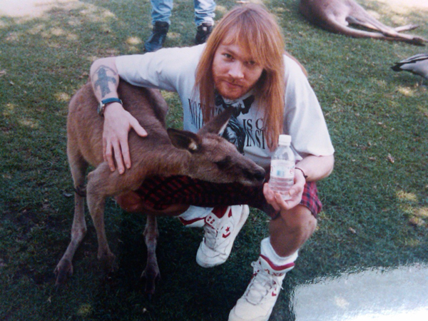 Bilder-Thread axl-rose