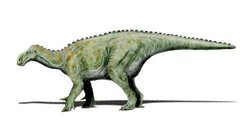 Iguanodon NT