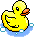 rubber ducky   yellowpaqvq