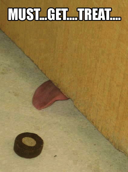 Bilder-Thread tumblr ma9kbhjUmU1req0axo1 500