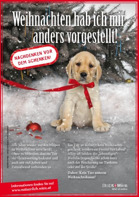 MA60 Welpen Inserat Weihnachten 210x297-