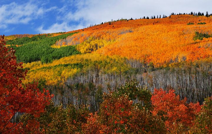 Colorado-Indian-Summer--12412737058