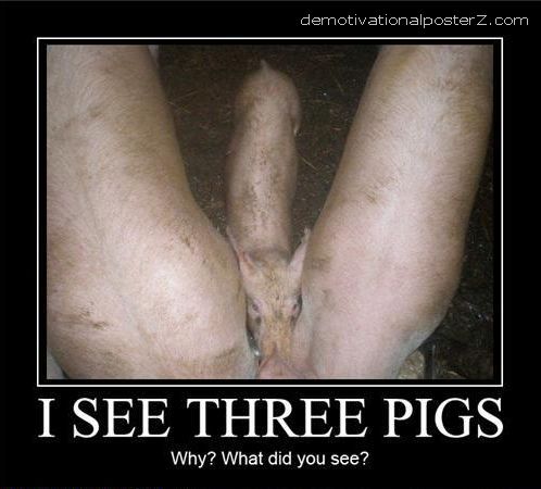 Bilder-Thread I-see-3-pigs-cock-penis