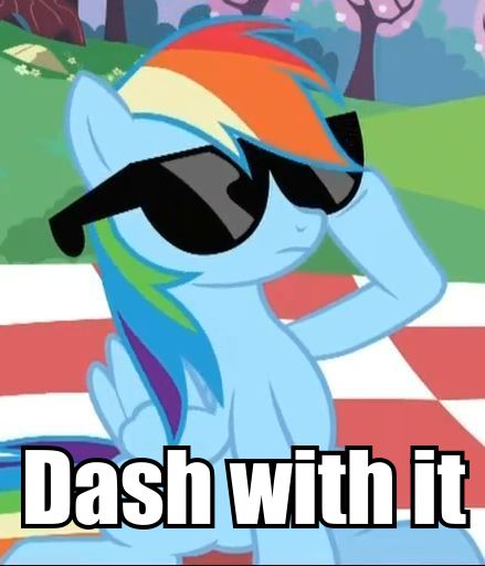 73872 - deal with it macro rainbow dash 