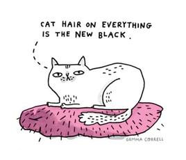 cat-hair-on-everything-is-the-new-black 