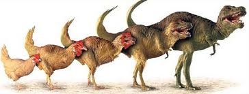 chickenosaurs5