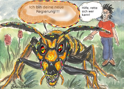 Bilder-Thread sumpfhornissel4-regierung