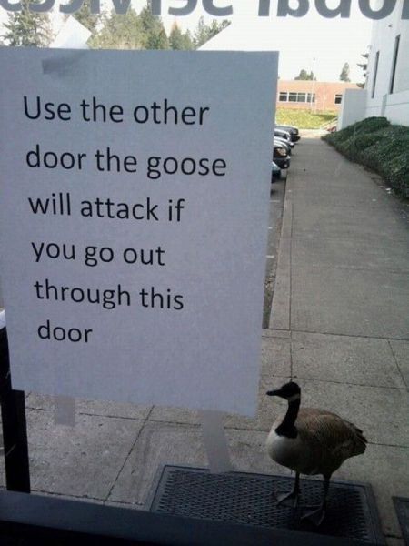 Bilder-Thread picdump-12-06-22-012