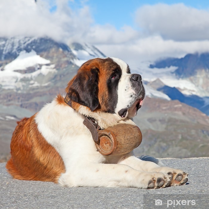 aufkleber-st-bernard-hund.jpg