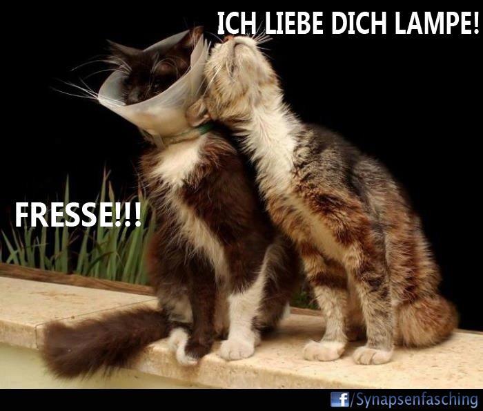 Bilder-Thread 87a1fb 392767 10151514713642748 74174261