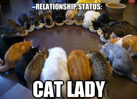 relationship-status-cat-lady