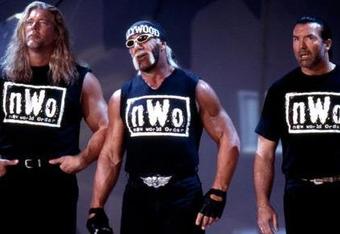 Hogan-NWO