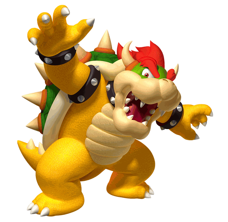 Masthead Bowser.5fb367ea