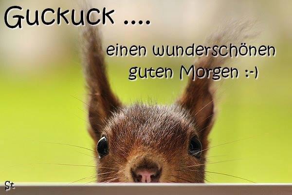 guckuck-einen-wunderschoenen-guten-morge