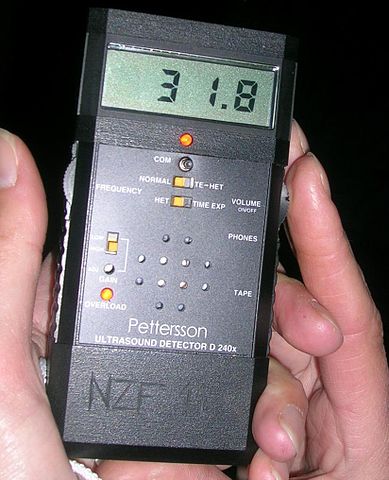 389px-BatDetector
