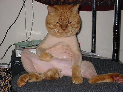 shaven pussy